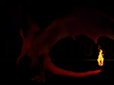 POKEMON CHARIZARD  Low-poly 3D model