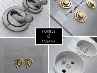 Forbes and lomax 3D model