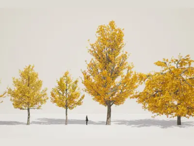 MEGA PLANT PACK - 10 Korea Street Plant Pack Low-poly 3D model