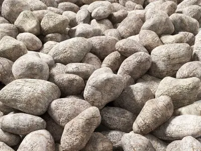 Pebble collection n8 3D model