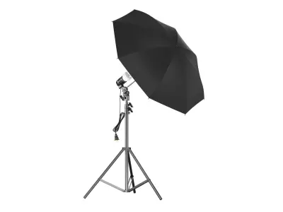 Umbrella Lighting Single Light Bulb 3D model