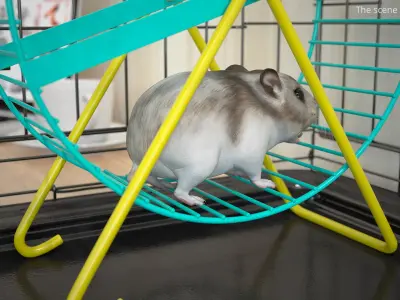  Campbell Dwarf Hamster Brownish Gray Rigged for Maya 