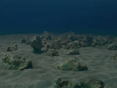  Sea Floor 