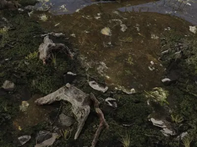 WETLAND CABIN 3D model