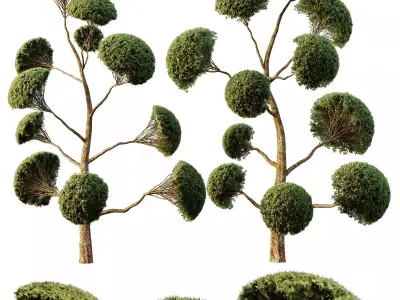 Excellent collection of Outdoor plants 32 Different Models 0036 3D Model Pack