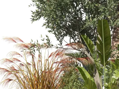 Garden Island plants  Low-poly 3D model