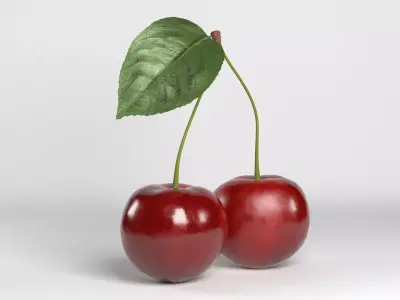 Cherries 3D model