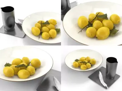 BW bowl with lemons 3D model