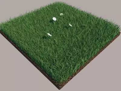 Grass field with golf balls 3D model