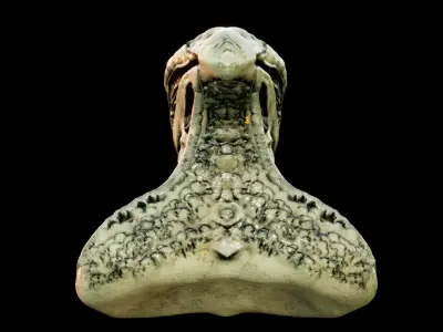 Alien 3D model 14