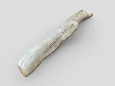 Dead Wood 5 Low-poly 3D model