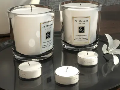 Decorative Set of Flowers 3D model