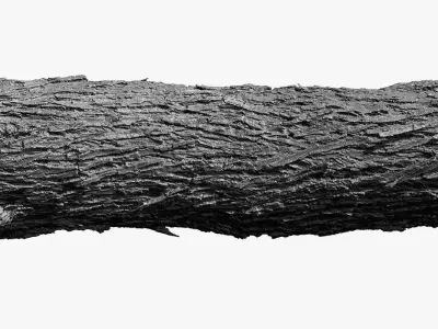 Tree Trunk 9 3D scan 3x16k - 2x8k Textures Blender Maya 3Ds-Max Low-poly 3D model