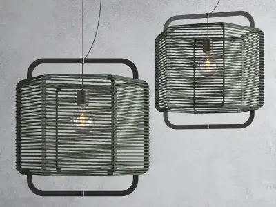 Corda 50cm Green Algae 3D model