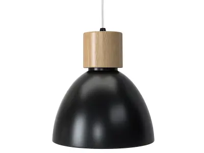 Albany Iron and Wood Bell Pendant 3D model