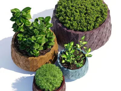 Agave Series 3D model