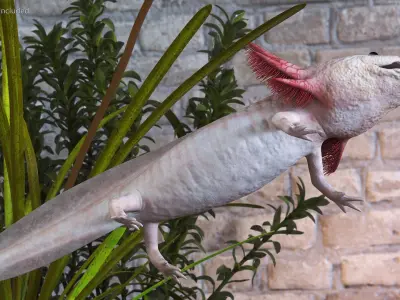  Exotic Rigged Pets Collection for Maya 