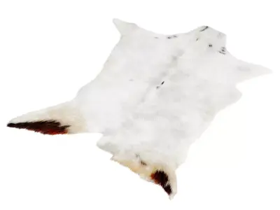 Goatskin Cowhide Rug 3D model