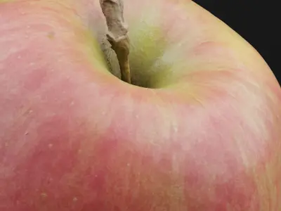 Apple Fruit Free 3D model