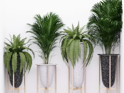 Palm and fern corner 3D model