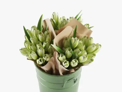  Flowers In Buckets Bundle 