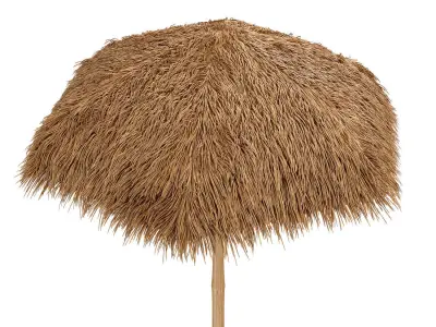 Bamboo shelter beach canopy 3D model