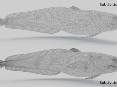  Burbot Animated 