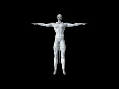 AVTR001 Rigged Avatar 3D model