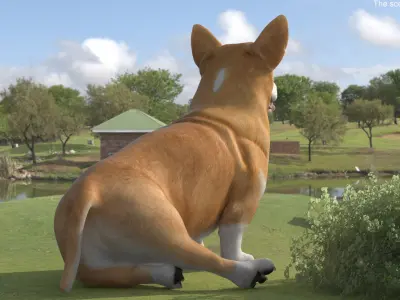  Dog Welsh Corgi Pembroke Rigged for Maya 