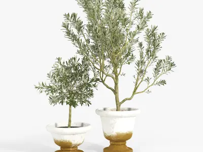 Eclectic Villa Planters 2 3D model