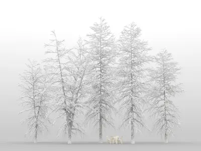  100 Broadleaf Trees with snow 