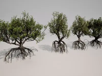 Mangrove 3D Models Low-poly Tropical Tree Low-poly 3D model