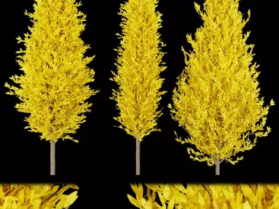 Collection plant vol 218 Free 3D model