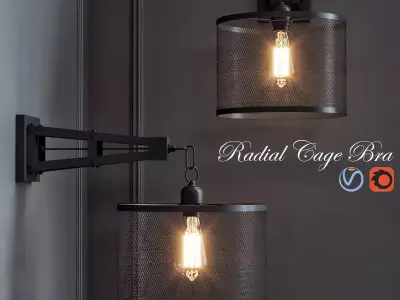 Radial Cage Bra  3D model