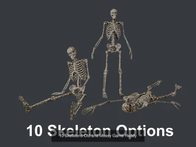 35 Skeleton Bone Pack Game Ready