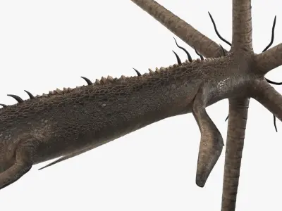  Mythical Sea Leviathan Serpent Form Black 