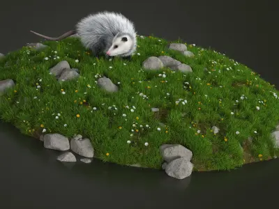  Opossum on Meadow with Blooming Flowers Fur 