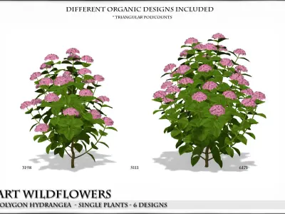 Low Polygon Hydrangeas for Games and Architectural Vis Low-poly 3D model