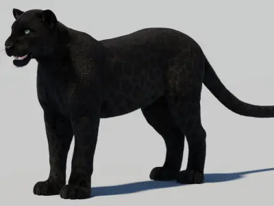  Black Panther Fur 
