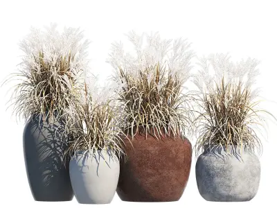 Ronan Ficonstone Indoor 3D model