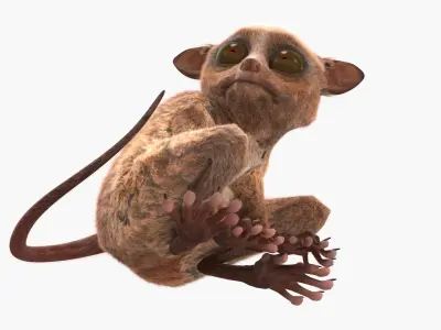  Alert Sitting Tarsier Fur 