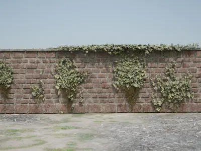 Red brick wall with ivy 3D model