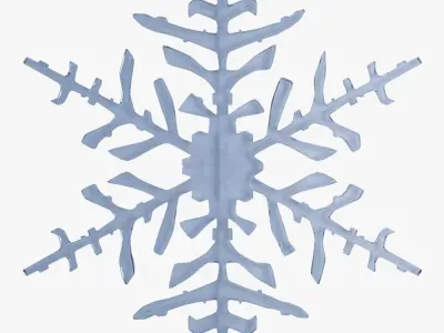Snowflake 3D model