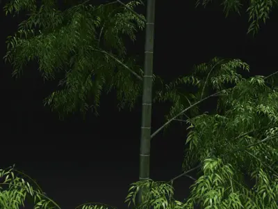 Bamboo Trees for scatter 3D model