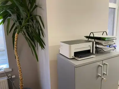 Buildings printer and plant in office Low-poly 3D model