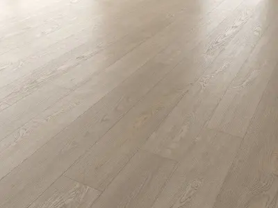 Wood Floor Set 17 Texture