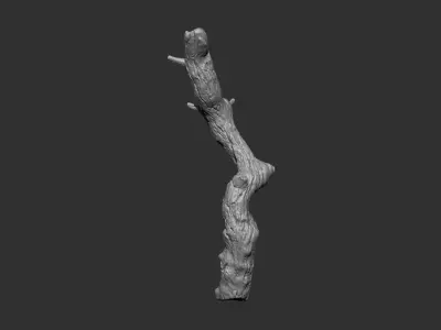 Tree Branch IMM OBJ Brushes 13 in one  3D model