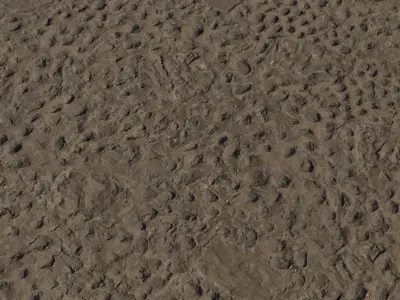 Compact Dirt With Embedded Stones Texture