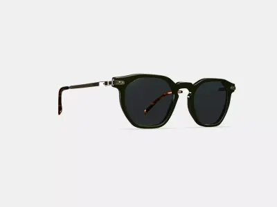 Rustin Sunglasses in Olive with Riesling 3D model