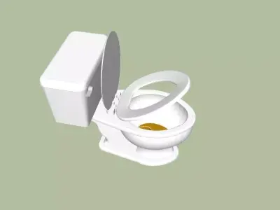clogged dirty toilet bowl 3D model